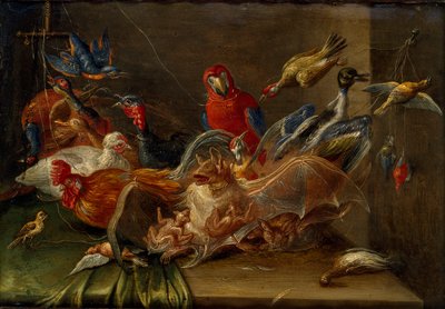 Composizione decorativa di natura morta con uccelli e due pipistrelli da Jan van Kessel