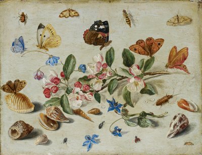 Fiori e insetti da Jan van Kessel