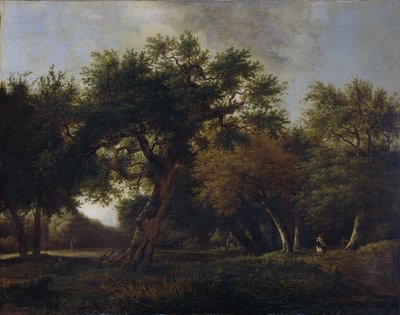 Veduta nel bosco da Jan van  Kessel