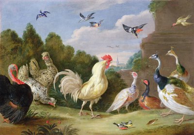 Paesaggio Boschivo con Gallo, Tacchino, Galline e altri Uccelli, XVII secolo da Jan van Kessel the Elder