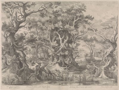 San Giovanni Battista che prega in un paesaggio paludoso da Jan van Londerseel