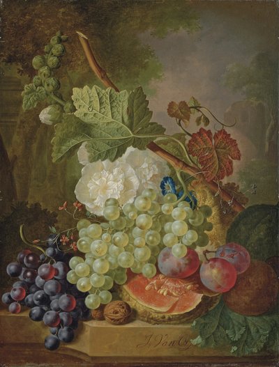 Fiori, uva, prugne, noci e un melone su un cornicione di pietra da Jan van Os