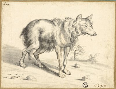 Lupo da Jan van Os