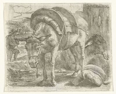 Asino da soma da Jan van Ossenbeeck