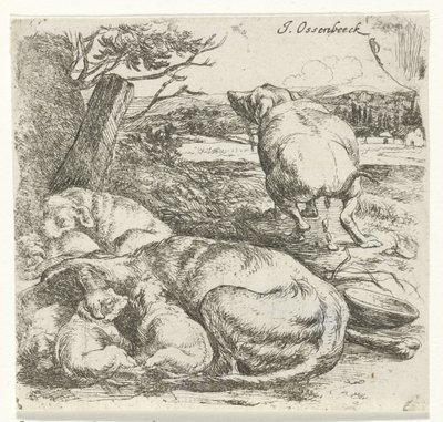 Cagnolina con cuccioli da Jan van Ossenbeeck