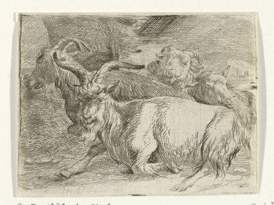 Due capre e due pecore da Jan van Ossenbeeck