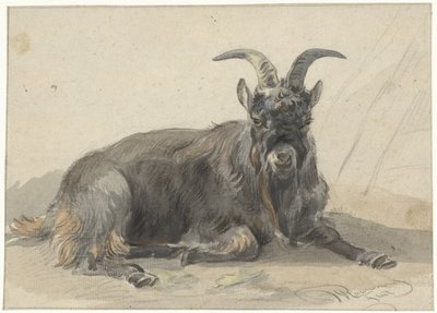 Caprone nero sdraiato da Jan van Ravenswaay