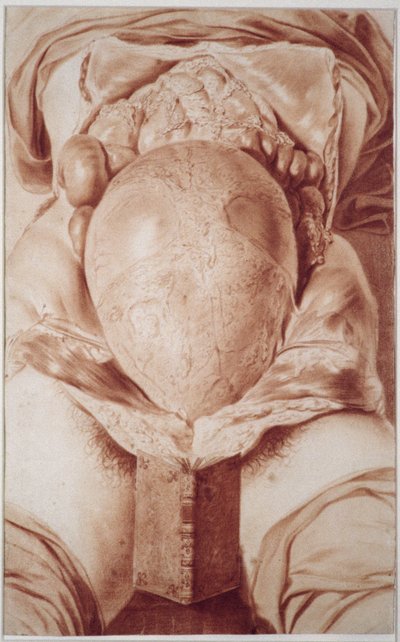 Disegno dalla 