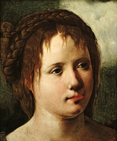 Testa di ragazza, 1530-35 da Jan van Scorel