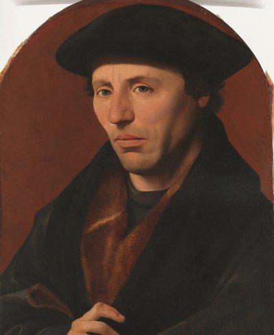 Ritratto di un cittadino di Haarlem da Jan van Scorel