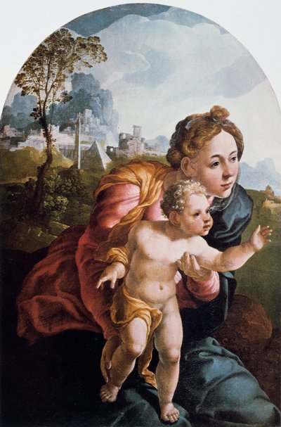 La Vergine e il Bambino da Jan van Scorel