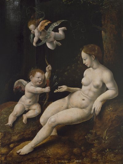 Venere e due Cupidi, c.1528 da Jan van Scorel