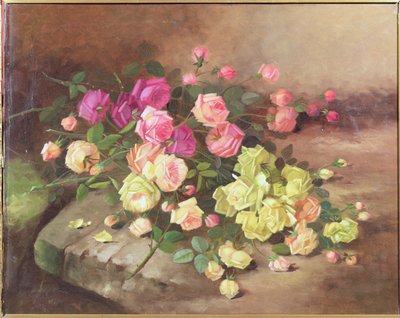 Rose da Jan van Steensel