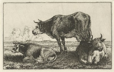Tre mucche da Jan van den Hecke