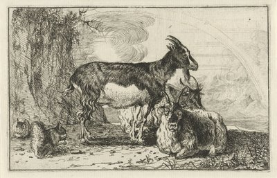Capre da Jan van den Hecke