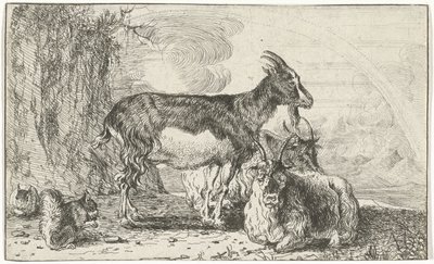 Capre da Jan van den Hecke