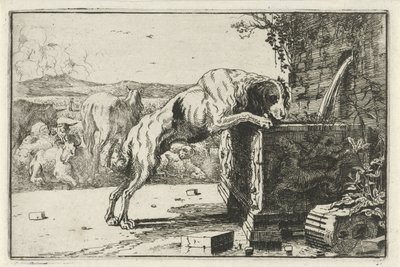 Cane presso una fontana da Jan van den Hecke