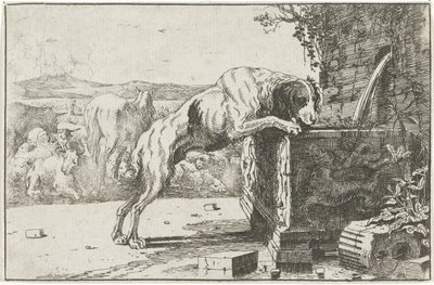 Cane presso una fontana Dieren (titolo della serie) Zoographiam (titolo della serie) da Jan van den Hecke