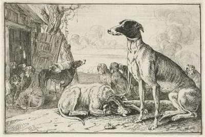Canile da Jan van den Hecke