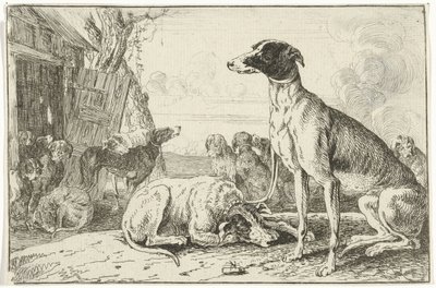 Canile da Jan van den Hecke
