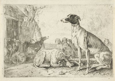 Canile da Jan van den Hecke