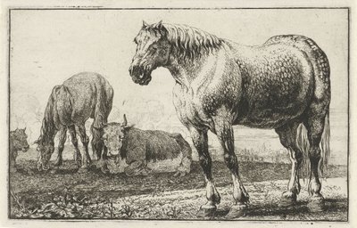 Cavalli e mucche da Jan van den Hecke