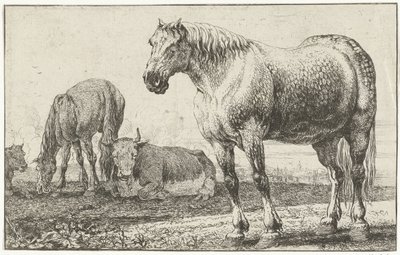 Cavalli e mucche da Jan van den Hecke