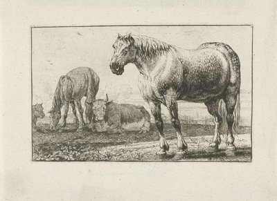 Cavalli e mucche da Jan van den Hecke
