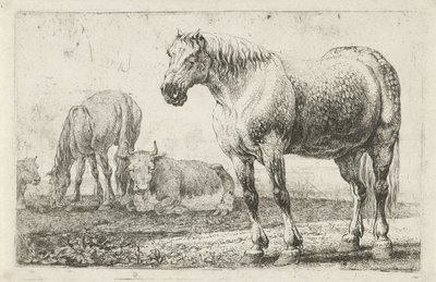 Cavalli e mucche da Jan van den Hecke