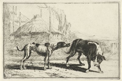 Reu en teef da Jan van den Hecke