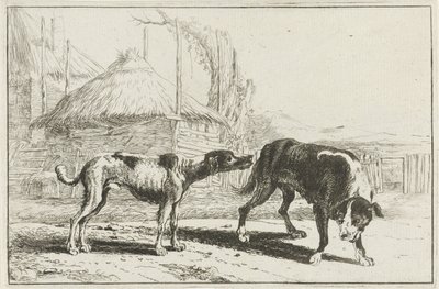 Cane maschio e femmina (serie Zoographiam) da Jan van den Hecke