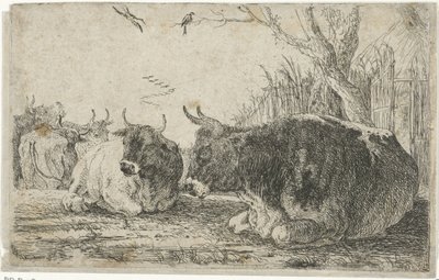 Mucche a riposo da Jan van den Hecke