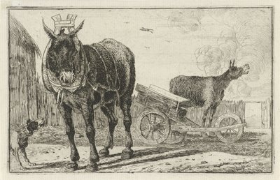 Due asini da Jan van den Hecke