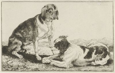 Due cani a riposo da Jan van den Hecke