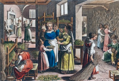 Produzione della seta in Europa nel XVI secolo da Jan van der (1523 1605) (after) Straet