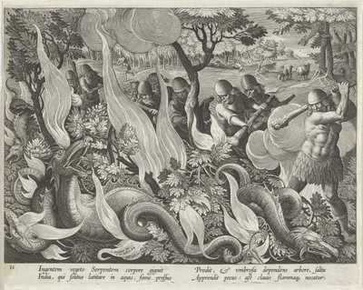 Cattura di Serpenti in India Usando Mazze e Torce per Illuminare la Vegetazione, tavola 44 da Venationes Ferarum, Avium, Piscium (Della Caccia: Bestie Selvatiche, Uccelli, Pesci) pub. 1640 da Jan van der 1523 1605 Straet