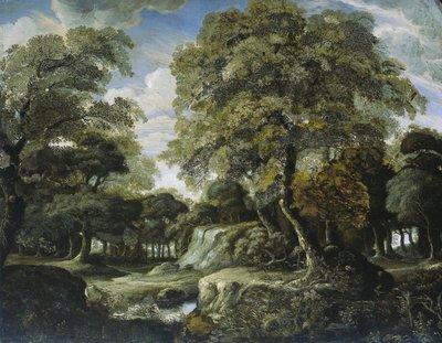 Veduta nel bosco da Jan van der Heyden