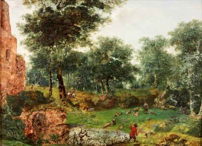 Paesaggio boscoso, c.1690-1700 da Jan van der Heyden