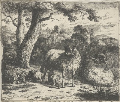 Pecora in piedi con due agnelli da Jan van der Meer (II)