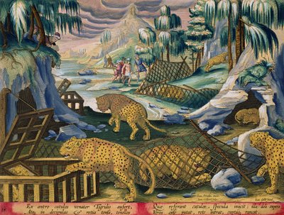 Cattura di leopardi con l