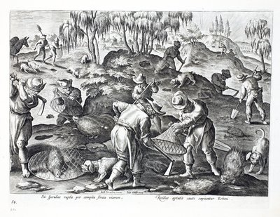 Scavare e Catturare Istrici, tavola 54, illustrazione da 