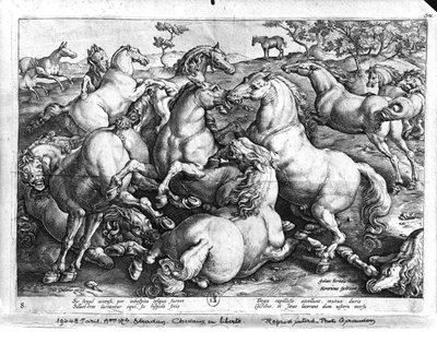 Cavalli in libertà da Jan van der Straet