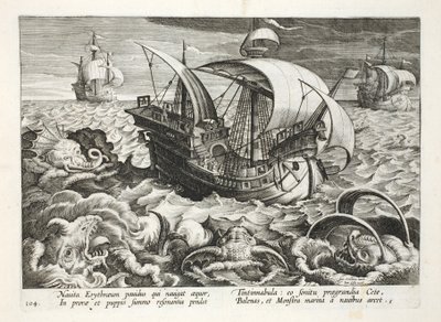 Caccia alle creature marine, tavola 84, illustrazione da 