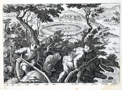 Caccia alle anatre, illustrazione da 