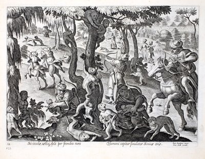 Caccia alle scimmie in campagna, illustrazione da 