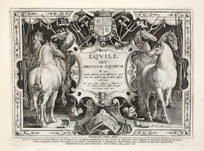 Illustrazione da 