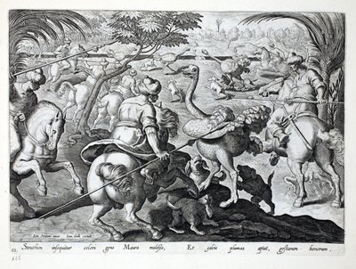 Mori a cavallo che cacciano struzzi, tavola 62, illustrazione da 