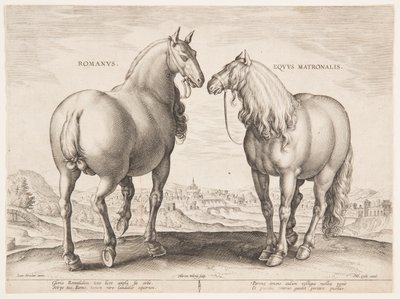 Un cavallo romano, dal primo set di "Equile Joannis Austriaci" da Jan van der Straet, called Stradanus