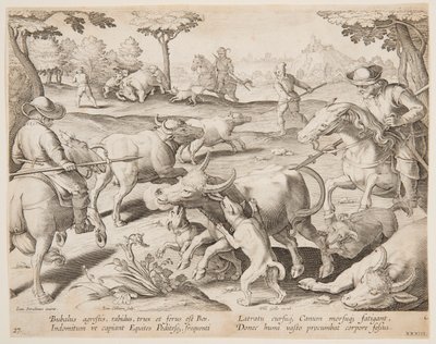 Caccia al Bufalo, tavola 27 della serie Venationes Ferarum, Avium, Piscium da Jan van der Straet, called Stradanus