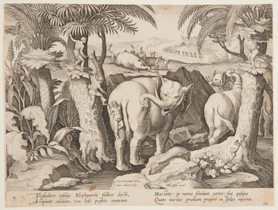 Uomini delle caverne che inseguono elefanti, tavola 3 dalla serie Venationes Ferarum, Avium, Piscium da Jan van der Straet, called Stradanus